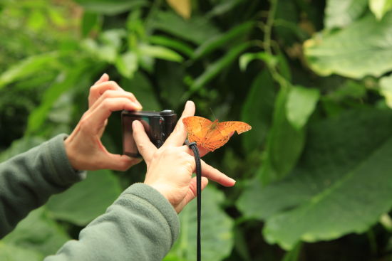 暖春四月來螢火蟲水洞 與螢火蟲來一場(chǎng)美麗的邂逅