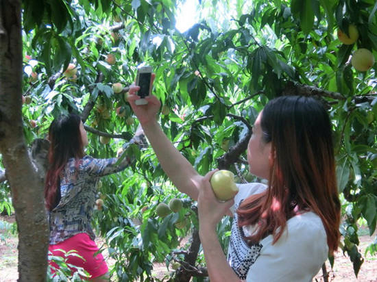 緣在七夕?愛(ài)在芒碭
