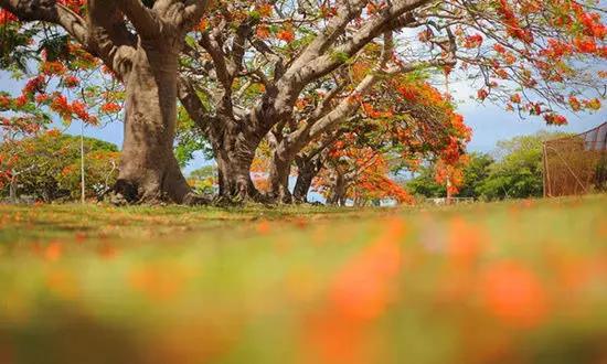 適合在冬天旅游的十個絕美海島！