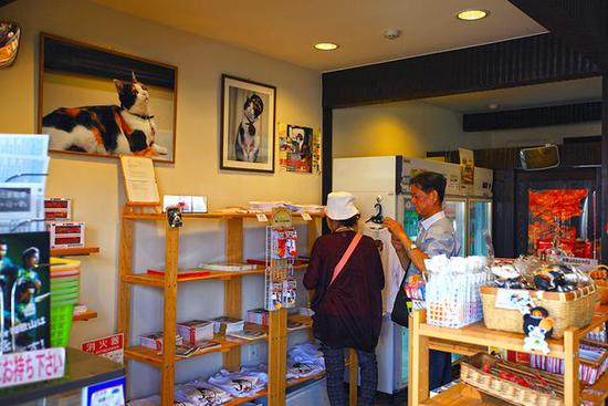 全球最萌車站 站長是只貓 全球最萌車站 站長是只貓