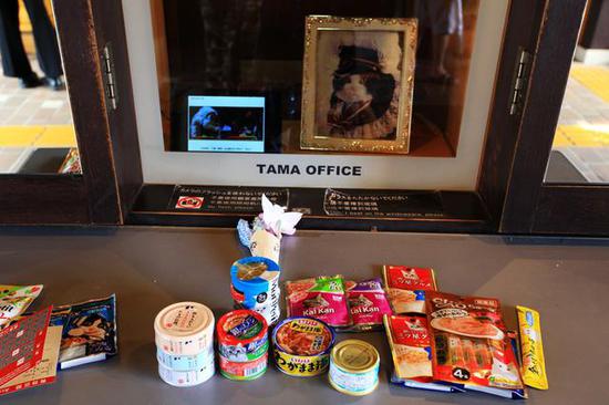 全球最萌車站 站長是只貓 全球最萌車站 站長是只貓