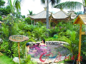 溫泉區(qū)樹木蔥蔥。