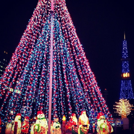 白色燈樹(shù)節(jié) 白色燈樹(shù)節(jié)