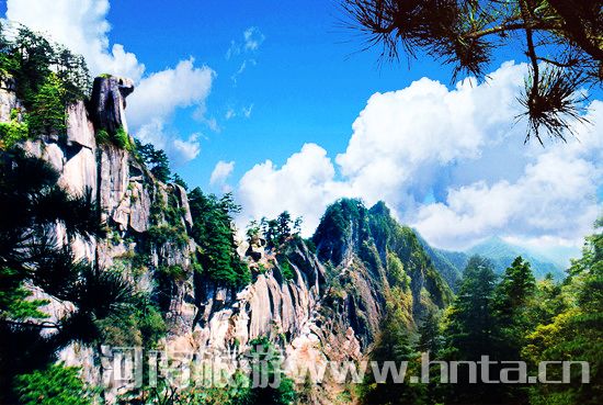 寶天曼“背情人免門票” 寶天曼“背情人免門票”