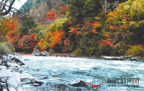 四川迷人秋景 四川迷人秋景