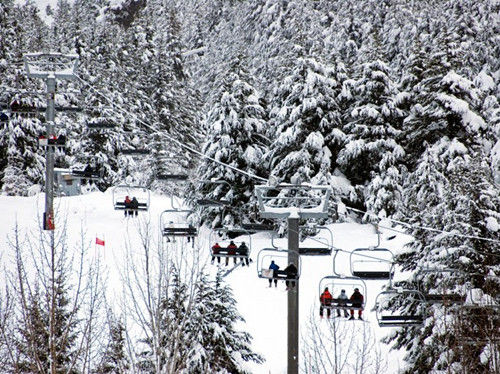 阿拉斯加，阿里耶斯卡