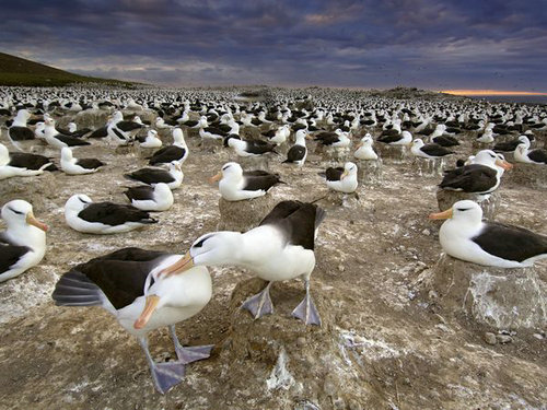 圣誕私奔 海洋小島上過假期 圣誕私奔 海洋小島上過假期