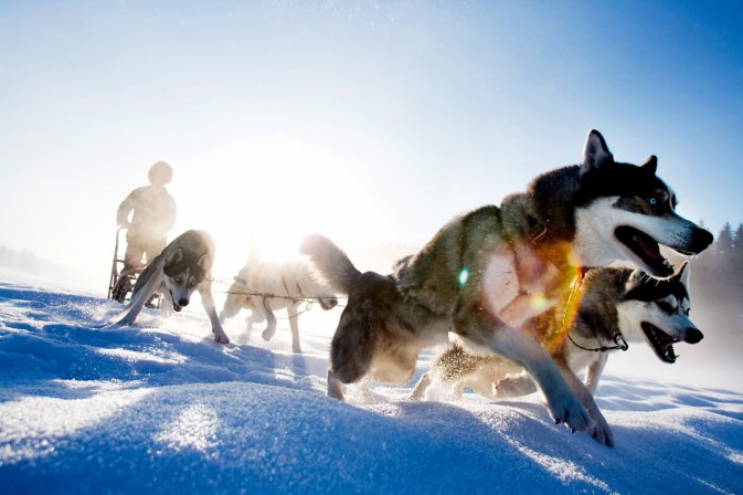 冬季貝加爾,適合享受冰上運動,狗拉雪橇、雪上摩托車、雪地徒步等都是不錯的選擇 F5.6,1/115秒