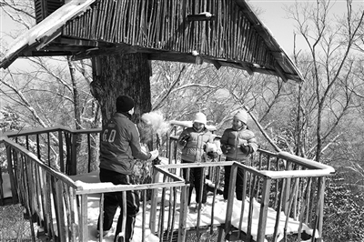 　　clubmed里有來(lái)自國(guó)外的滑雪教練教兒童滑雪?！? oldsrc=