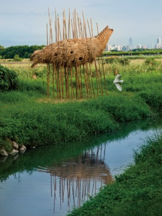 冬游臺灣 關渡賞鳥趣樂繽紛