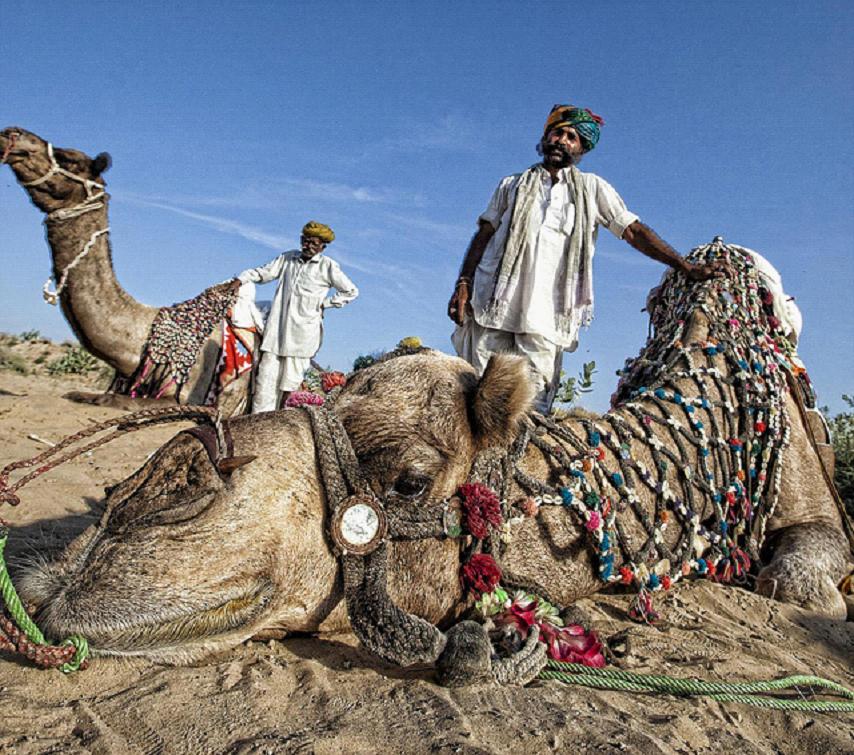 全家出國游去哪里？推薦十佳旅游勝地