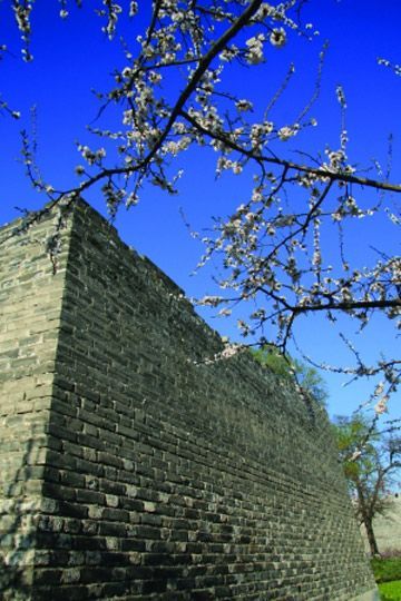 春暖花開時(shí) 春暖花開時(shí)