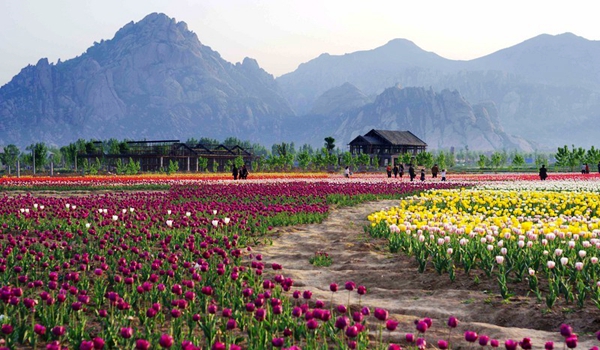 別樣蜜月，河南最適宜新婚度假的景區(qū)