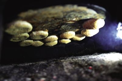 吊爐燒餅是黃驊最典型的面食之一，這種手藝在一些老院子里已經(jīng)傳承了上百年時(shí)間。