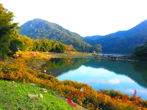 初冬的石門森林公園色彩絢爛。