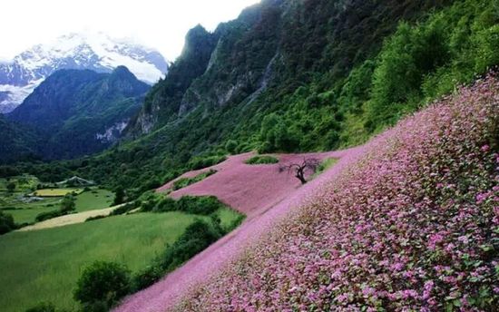 云南的另一個(gè)天堂 我約你一起去！