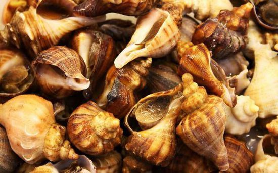 秋季最適合吃的海鮮是這10種 你吃對了嗎？