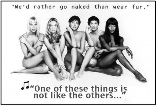 時尚圈第一組群?？棺h皮草大片