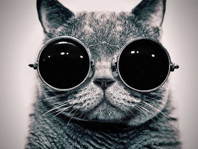 哪些星座總是不長(zhǎng)心 哪些星座總是不長(zhǎng)心