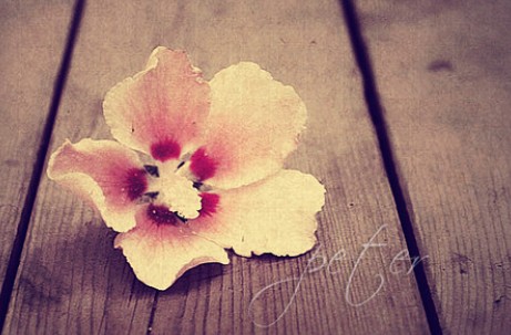 箬耶一周星座運(yùn)勢(shì)播報(bào)2013.11.18-11.24 箬耶一周星座運(yùn)勢(shì)播報(bào)2013.11.18-11.24