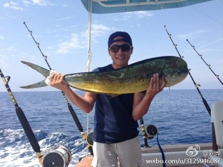 劉燁釣上大海魚(yú)