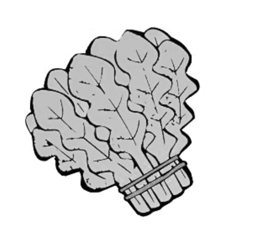 雪后菜價(jià)瘋漲15倍？沒恁夸張 元旦豬肉雞蛋或漲價(jià)