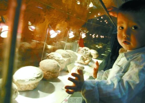 恐龍蛋，這回見(jiàn)識(shí)了吧！