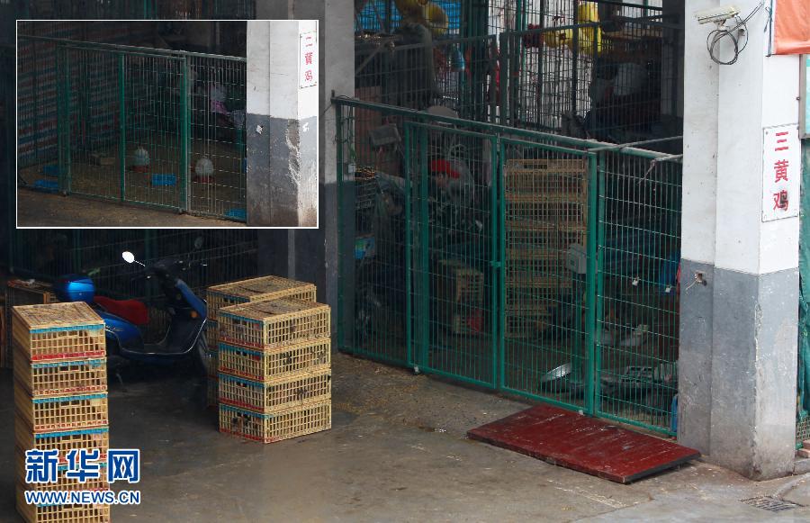 上海6日起暫?；钋萁灰?關(guān)閉所有活禽交易市場