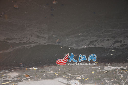 19日晚上的玉帶河，紅色河水變回灰綠色。