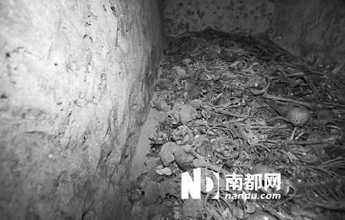 　5月29日，在以色列特拉維夫市雅法地區(qū)，一處集體墳?zāi)贡话l(fā)現(xiàn)。