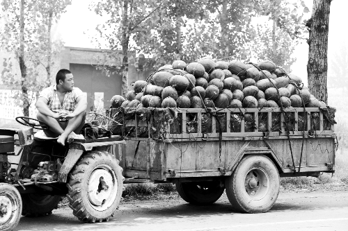 　看著滿滿一車瓜，一瓜農(nóng)愁眉不展。
