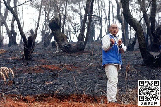 山林被燒得滿目瘡痍。