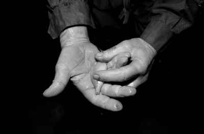 圖為科考人員發(fā)現(xiàn)的洞穴動物(3月2日攝)。