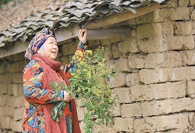 公式“時尚奶奶”的賞花照，收獲了好多人的點贊。 受訪者供圖