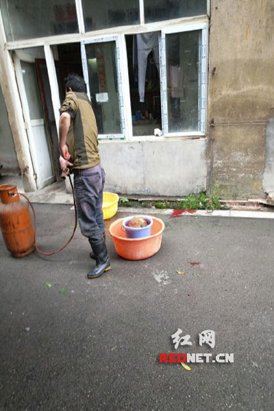 5月8日，男子在校園里殺狗，地上殘留一塊血跡。目擊者供圖。