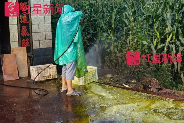 文玩核桃遇冷由幾萬一對降到5元沒人要？商戶否認