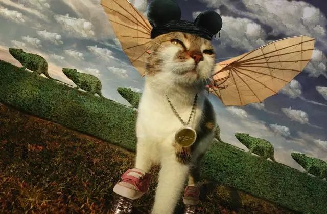 一只虛擬寵物貓叫價(jià)13億元？云養(yǎng)貓成真