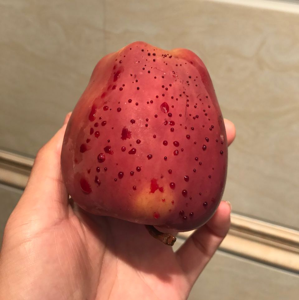 嚇懵！女子用熱水泡蘋果結果冒出血珠 咋回事？