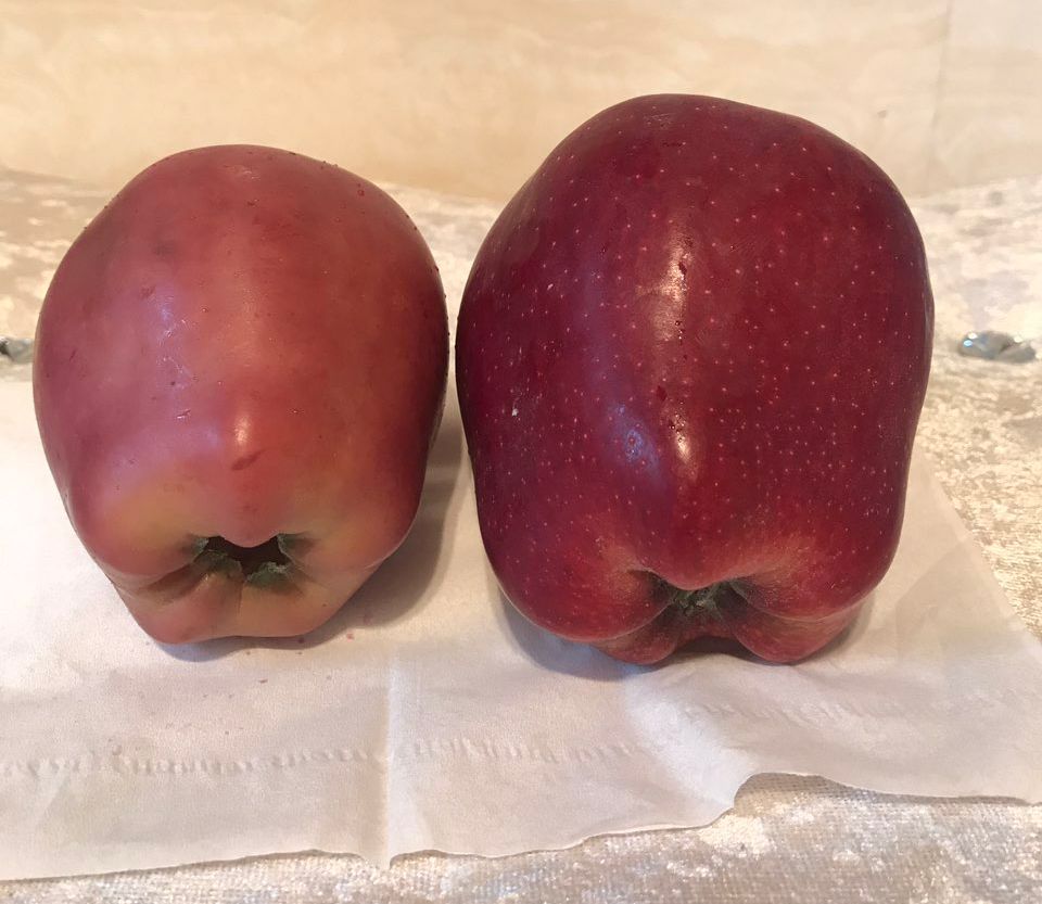 嚇懵！女子用熱水泡蘋果結果冒出血珠 咋回事？