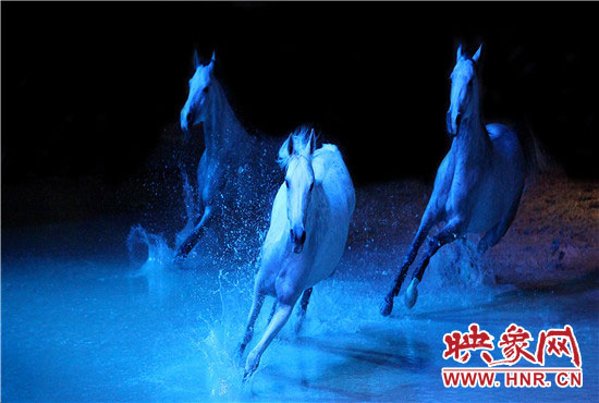 夢(mèng)幻舞馬演出現(xiàn)場(chǎng) 夢(mèng)幻舞馬演出現(xiàn)場(chǎng)