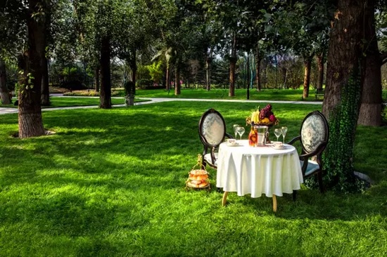 秋陽(yáng)鴻園，芳草青青