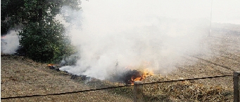 鄭州深陷“霾”伏   都是燒秸稈惹的禍？