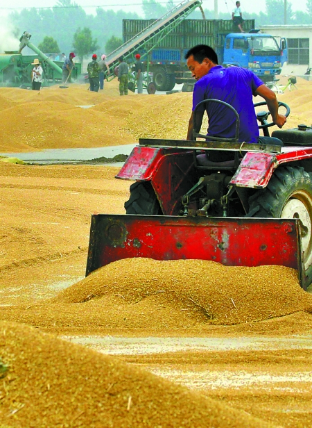 精心晾曬，散倉入庫。