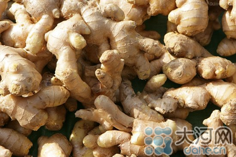 生姜價(jià)格大幅上漲 “姜你軍”再度來(lái)襲