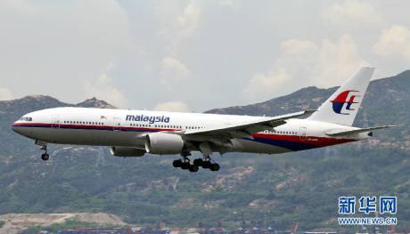 直擊馬航MH17客機墜毀現(xiàn)場