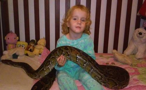 男子愛蛇如命 巨蟒與女兒們 男子愛蛇如命 巨蟒與女兒們