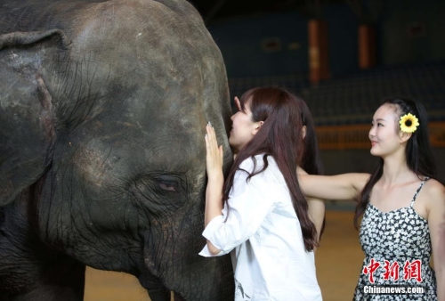 學(xué)生參加?；ㄐ２荽筚?穿比基尼秀身材