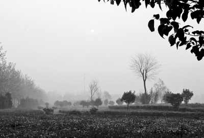 3月26日上午8點(diǎn),鄭大新校區(qū),濃濃的霧霾埋沒了大好春景。