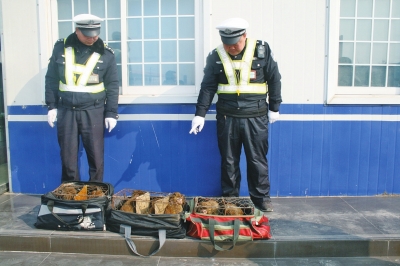 民警查獲的乘客行李包中，裝的全是獼猴。