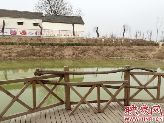 護(hù)欄損毀的地方，已經(jīng)被兩根樹干擋住。